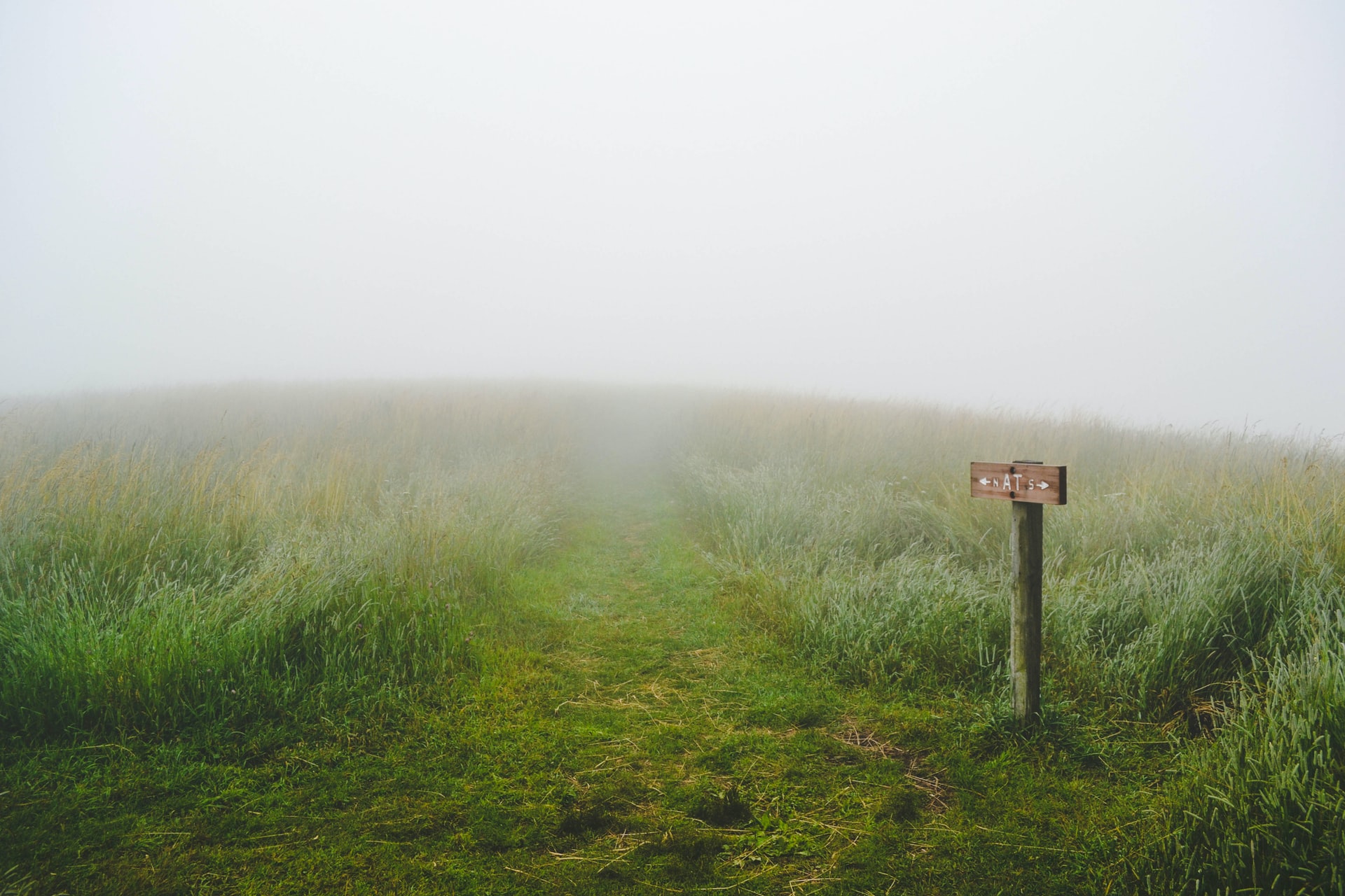 Max Patch Mountain