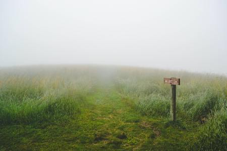 Max Patch Mountain