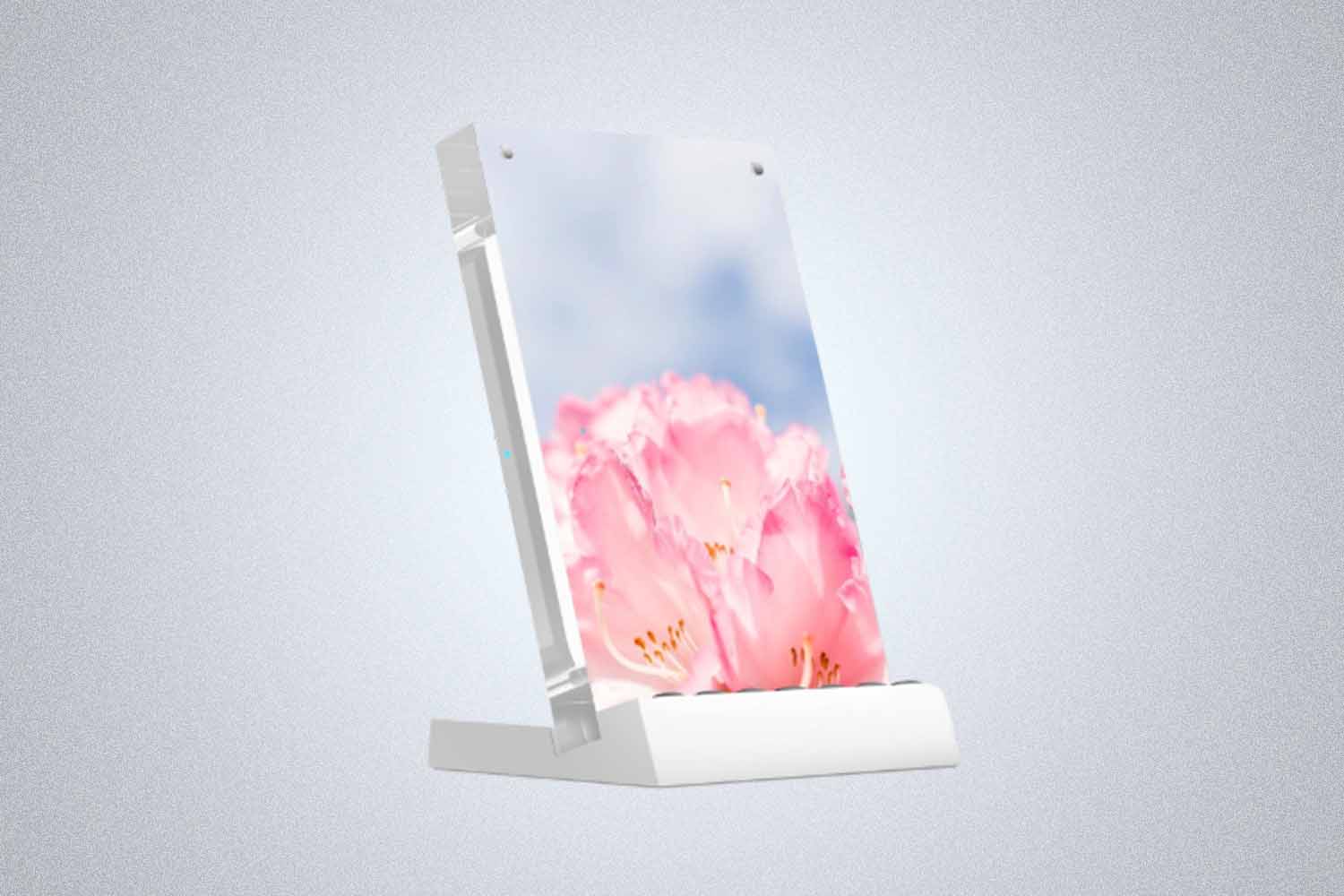 Twelve South PowerPic Mod Wireless Charger