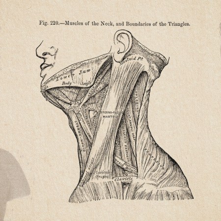 Strength Training Your Jaw Is the Latest, Dumbest Craze in Men’s Fitness