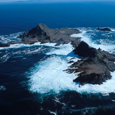SE Farallon Island