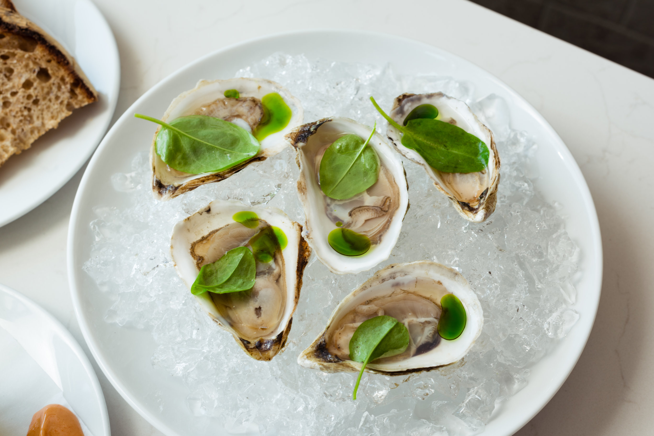 Oysters on the half shell at Otway