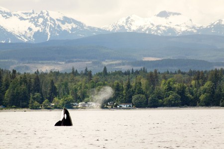 Why Doctors Are Now Prescribing National Parks as Medication