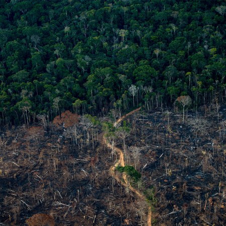 A deforested area of the Amazon rainforest in Lábrea, Brazil. A new report from the Intergovernmental Panel on Climate Change lays out how warming temperatures are causing more destruction than expected and how governments around the world are lacking their response to the climate crisis.