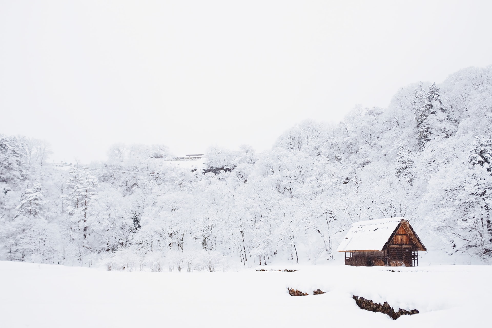 Winter landscape
