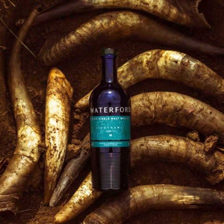 A bottle of Waterford Whisky in the ground, atop of cow horns