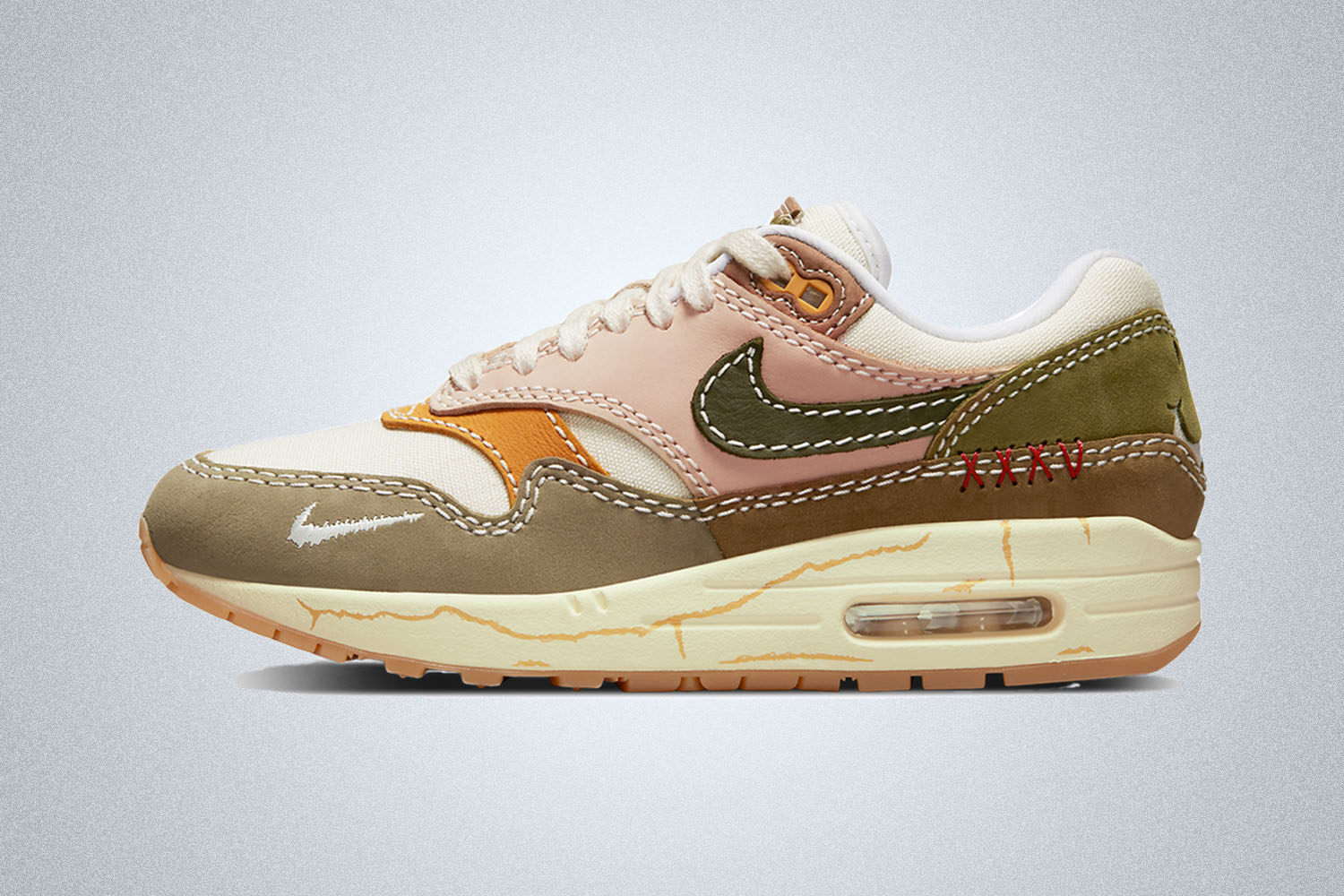 A Nike Air Mac on a grey background