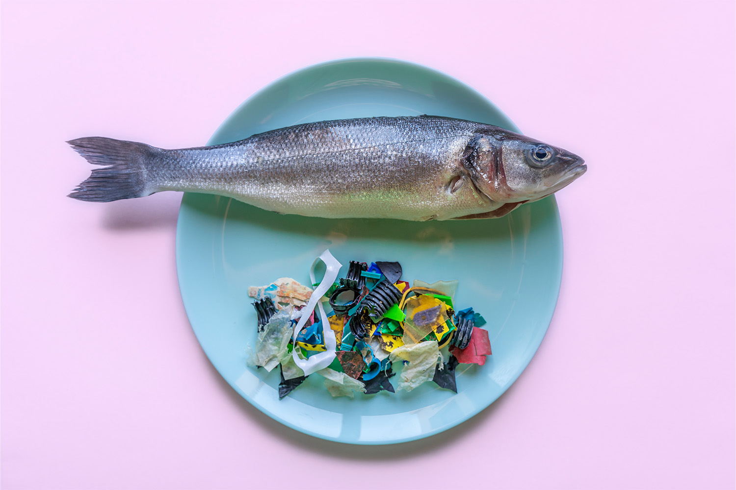 Fish on plate next to pile of plastic