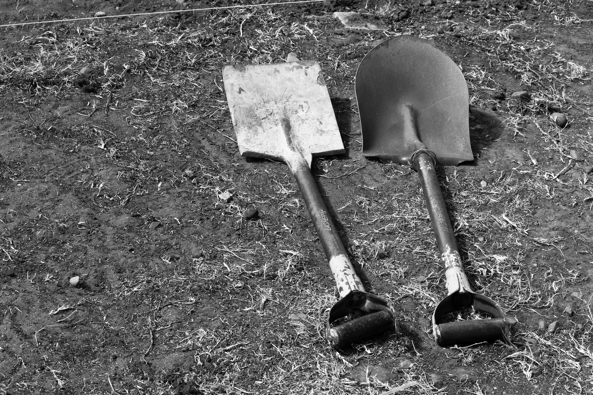 Shovels