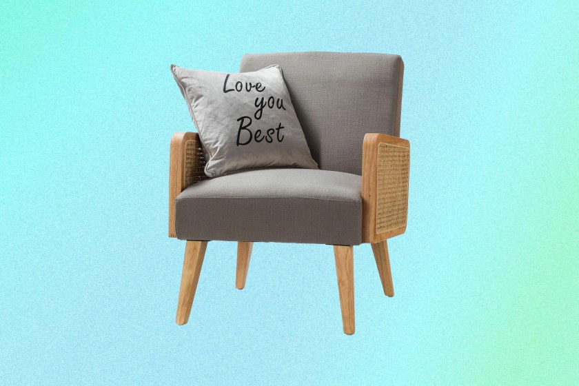 Esme Wide Armchair at the wayfair way day sale