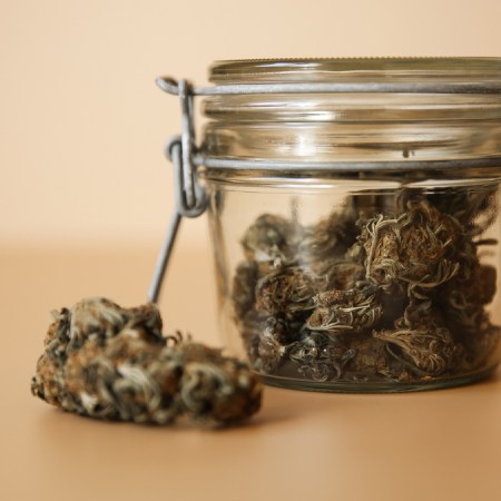 How to keep your weed fresh and where to store it in 2022