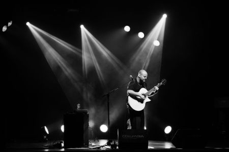 One Tree Might Have Produced Your Favorite Guitarist’s Favorite Guitar