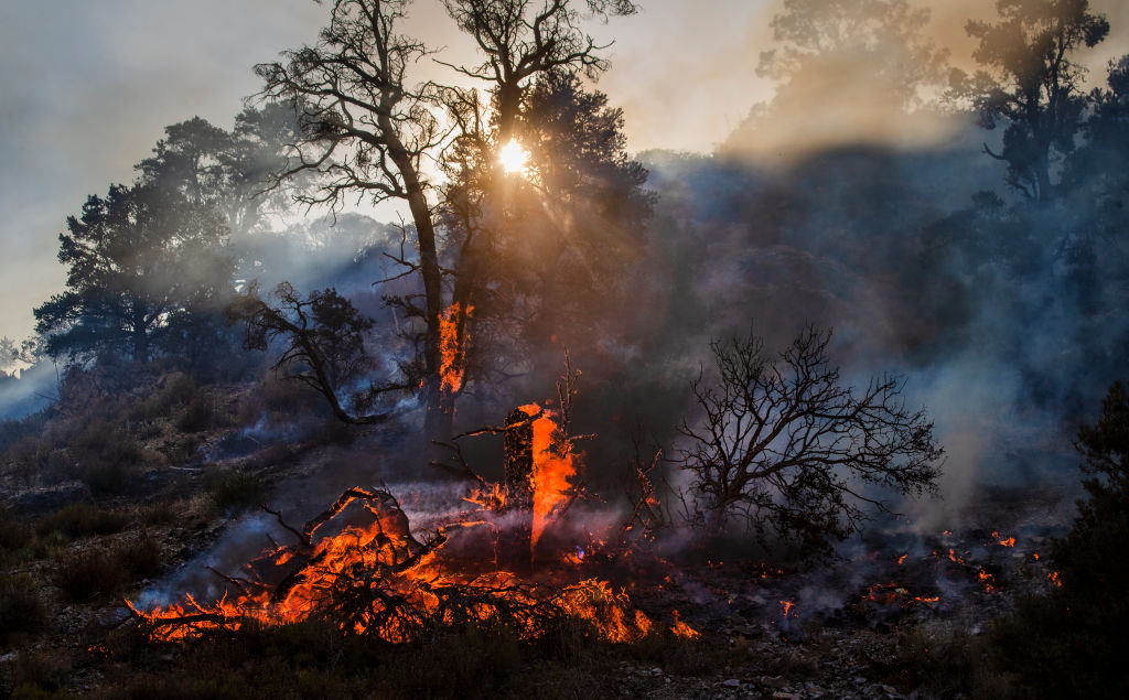Bobcat Fire