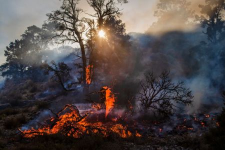 What’s It Like to Hike Through Wildfire-Ravaged Mountains?