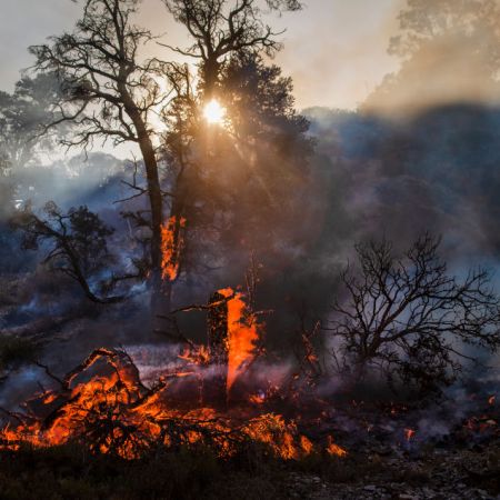 Bobcat Fire