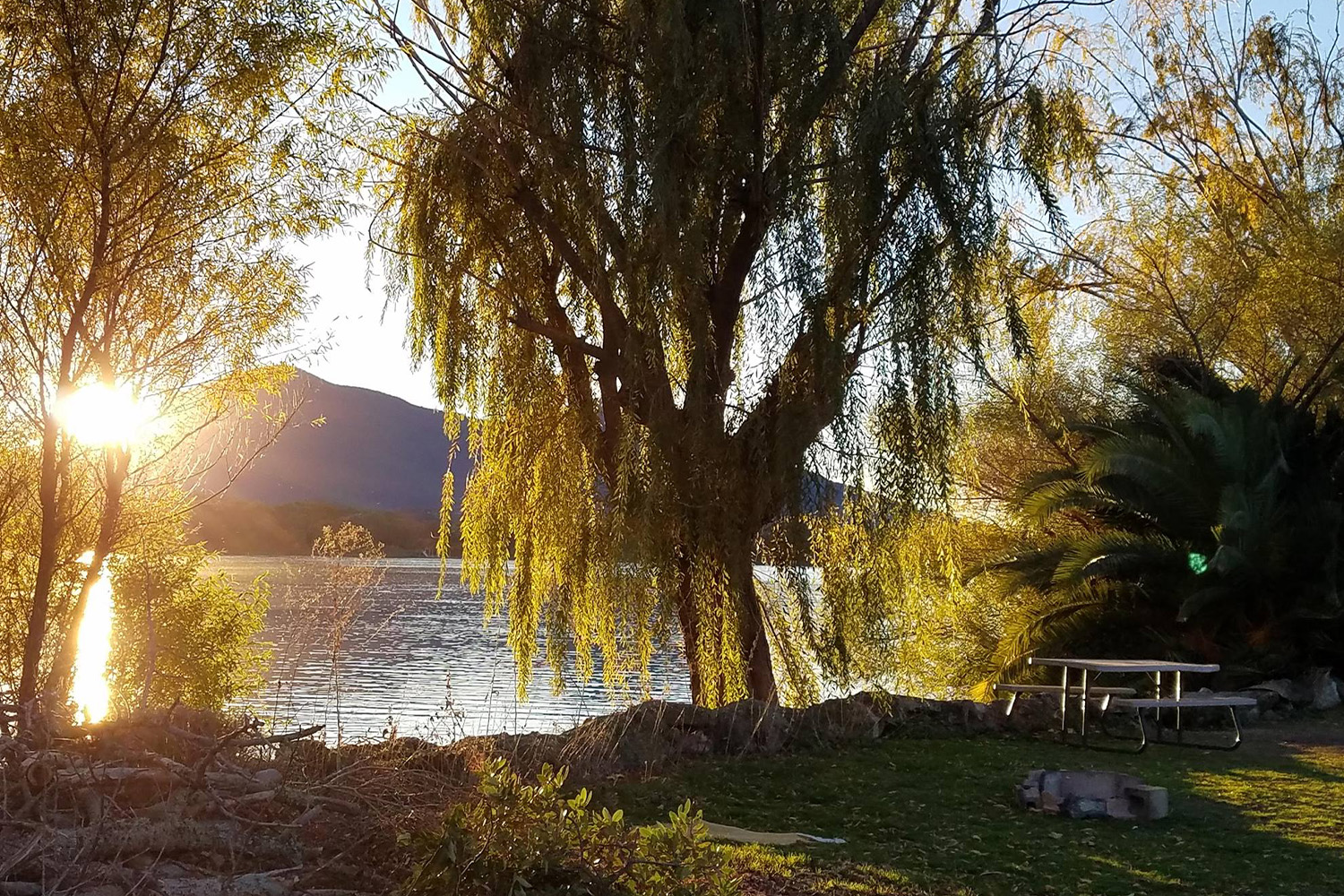 The Oasis Campground