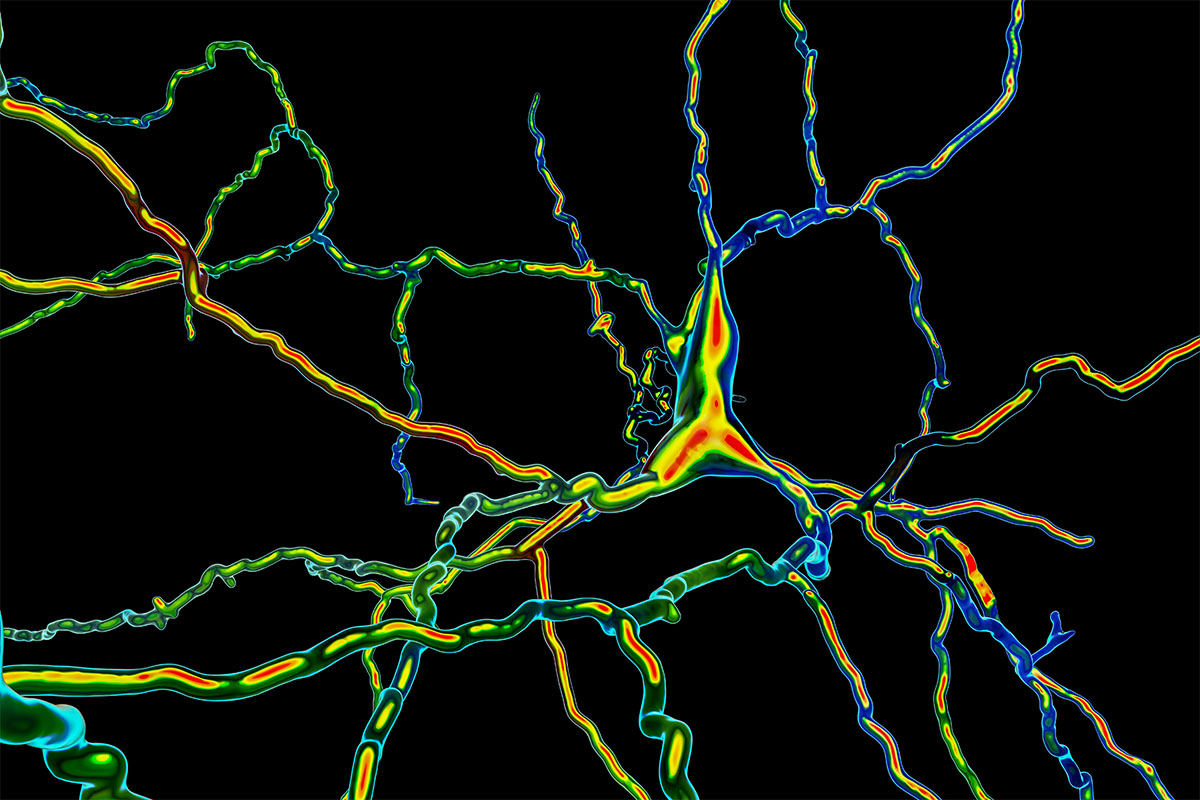 dopamine concept