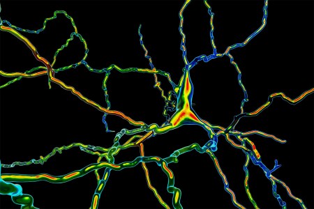 dopamine concept