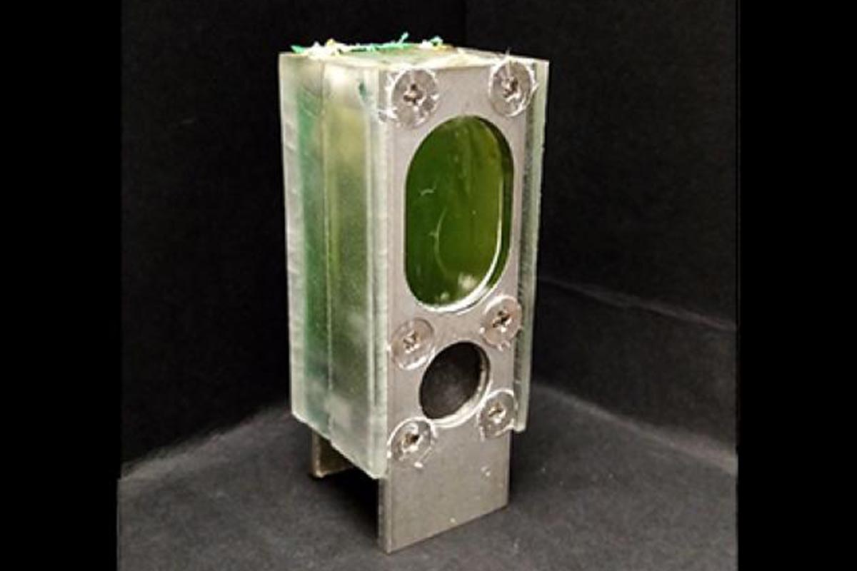 A renewable biological photovoltaic cell, as created by researchers at the University of Cambridge