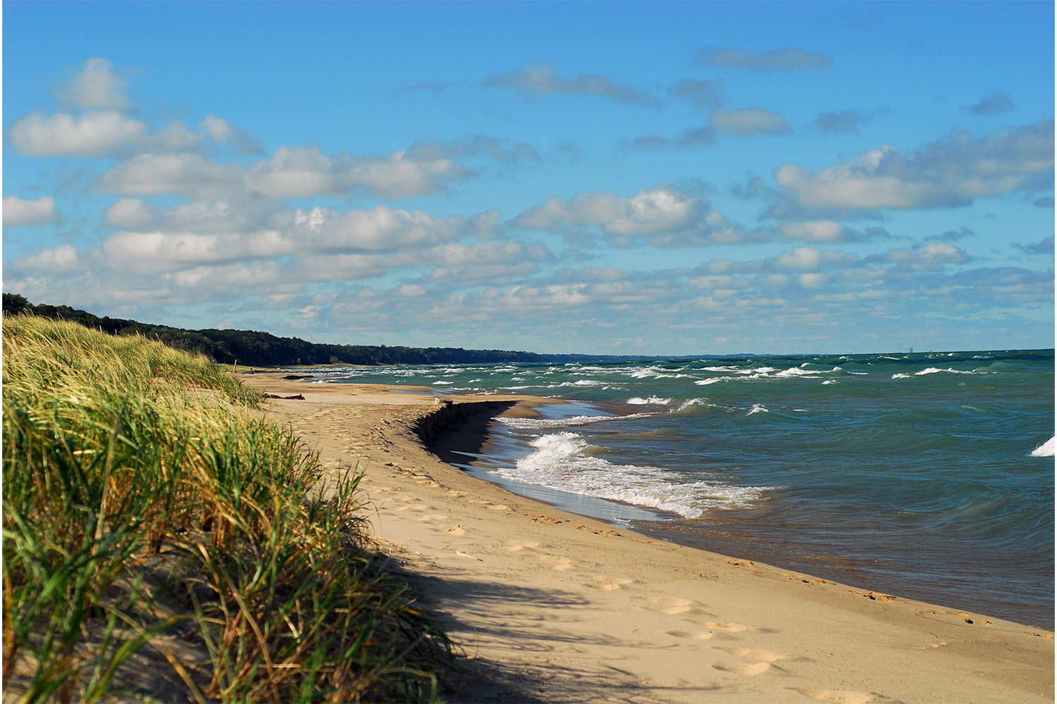 Warren Dunes State Park