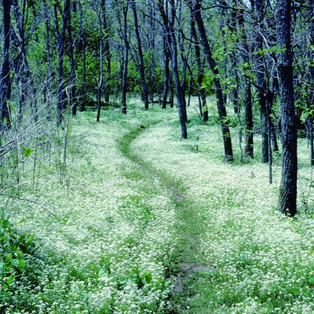 Shenandoah National Park