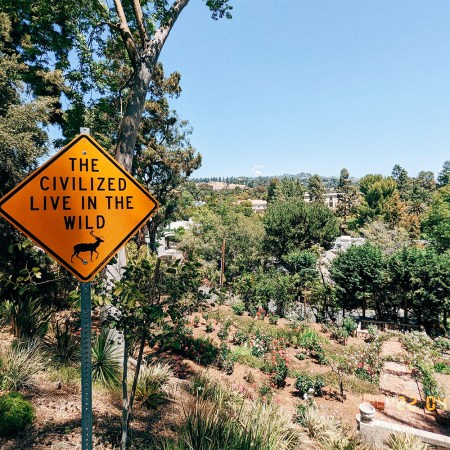A Public Display of Awareness sign