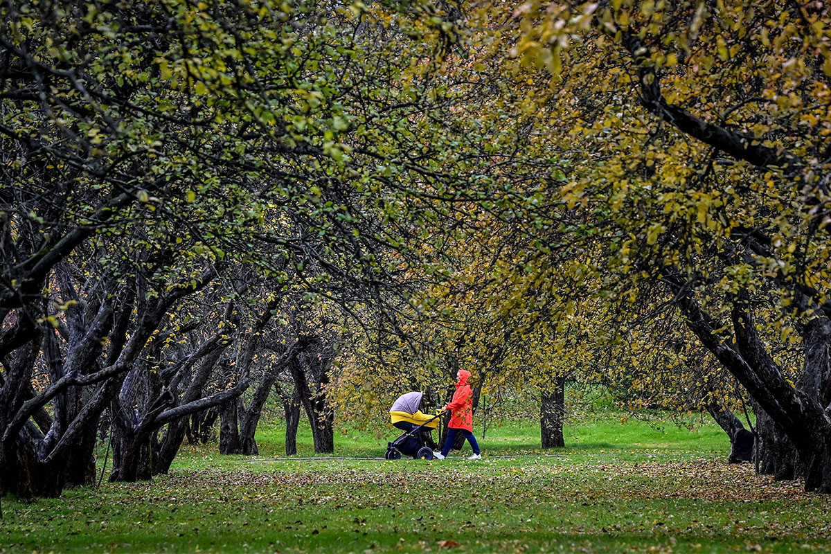 A woman pushing a child in a stroller in a park.