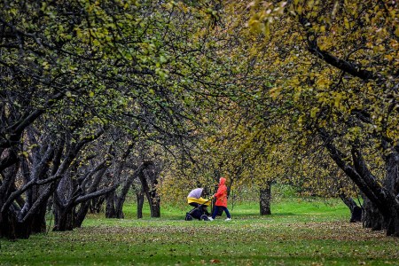 A woman pushing a child in a stroller in a park.