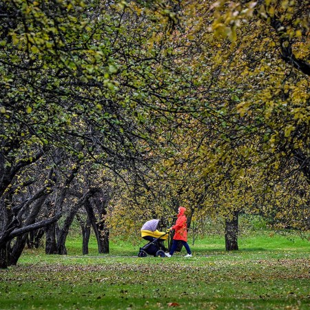 A woman pushing a child in a stroller in a park.