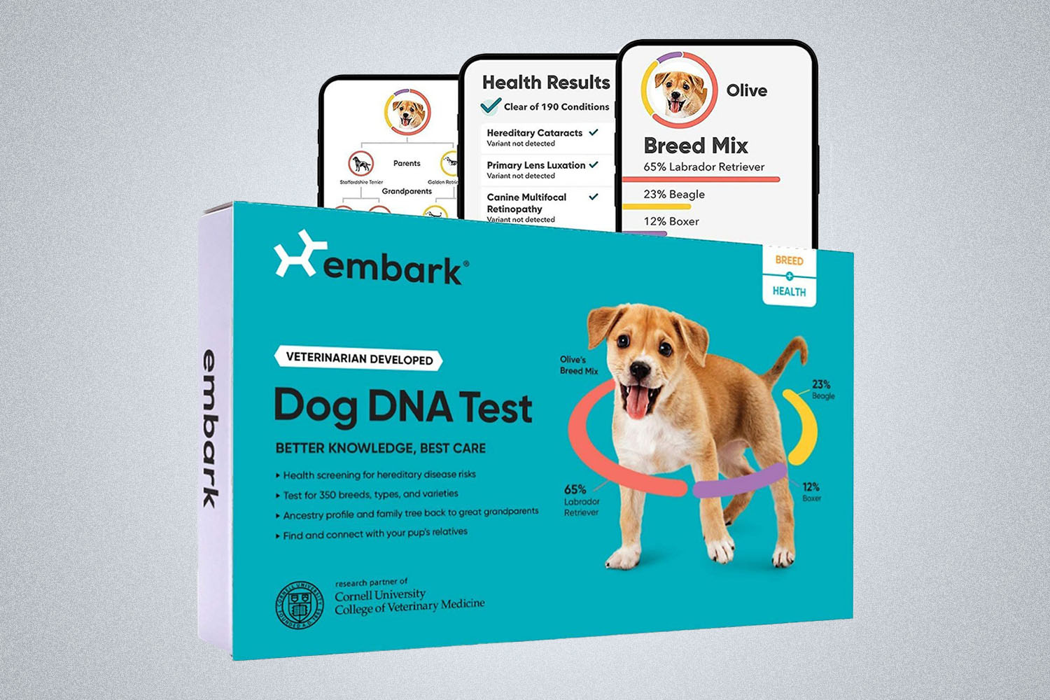 An Embark dog DNA kit box with app imagery on a grey background