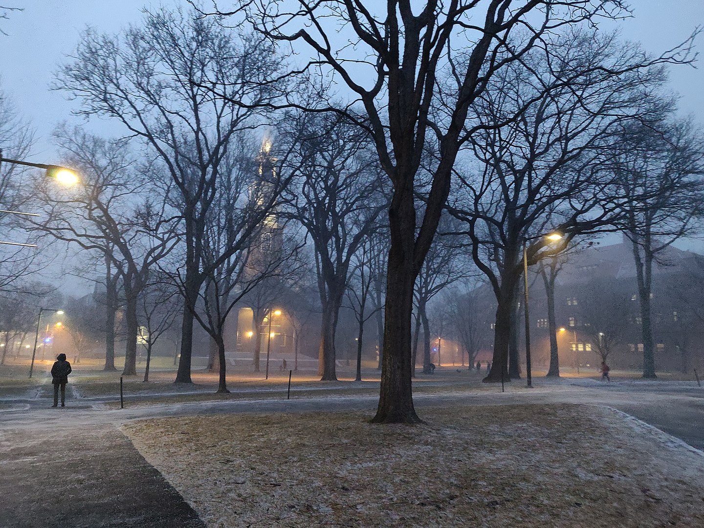 Harvard Yard