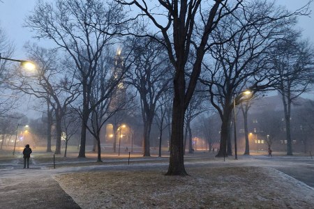 Harvard Yard
