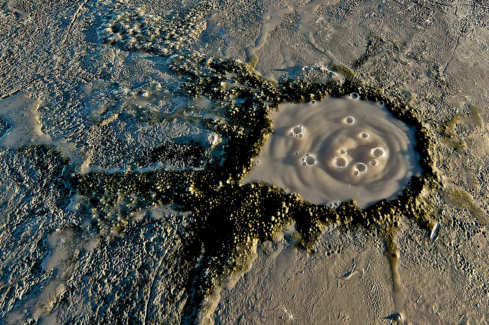 Carbon dioxide vent