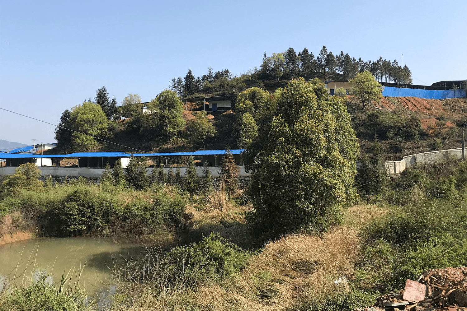 A fireworks factory in rural China that's built into a hillside with blue roofs on the buildings among the trees