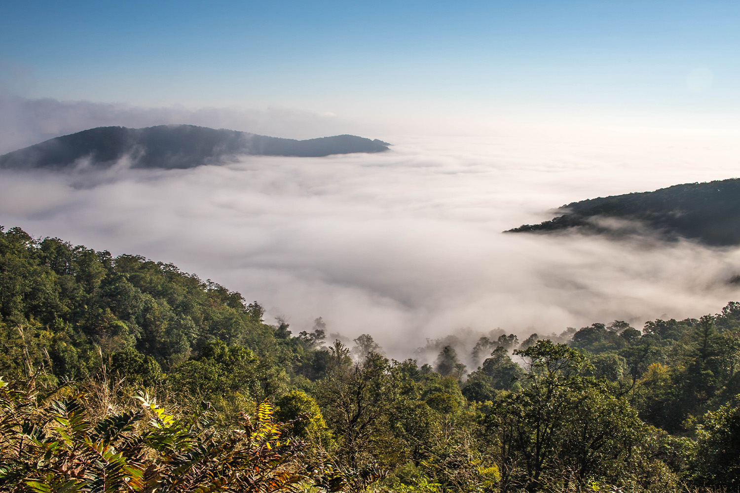 Fog hovering over Shenandoah valley, Virginia, USA