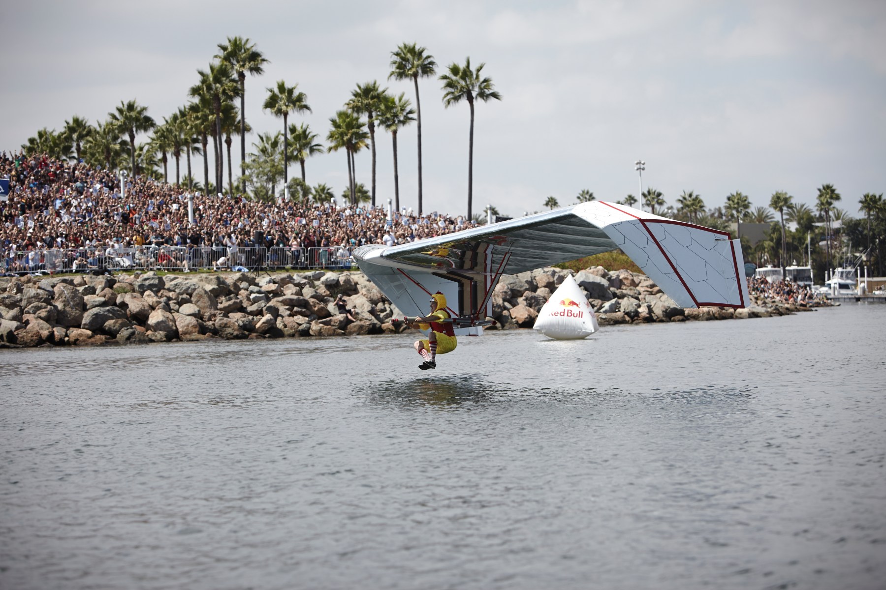 The Chicken Whisperers, based out of Palo Alto, California, took home first place as they set a new world record of 258 feet in the Red Bull Flugtag Race in Long Beach, California, in 2013. The team was made up of aerospace engineers from a Northern California aviation startup who crafted a lightweight airplane that soared above the rest. They still hold the world record today.