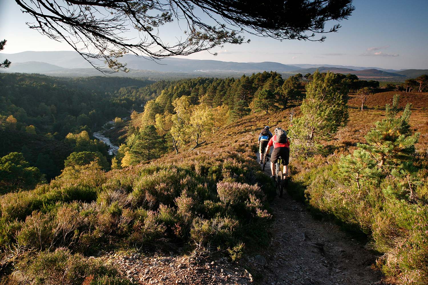 Cairngorm National Park, Scotland