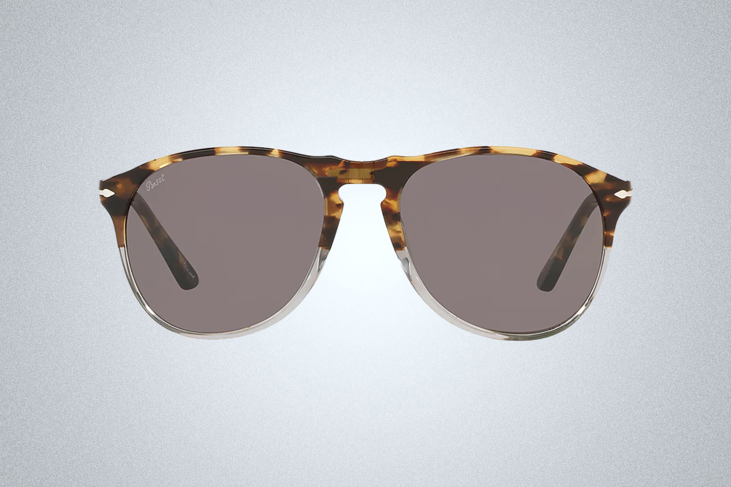 Tortoiseshell aviator Persol sunglasses on a grey background