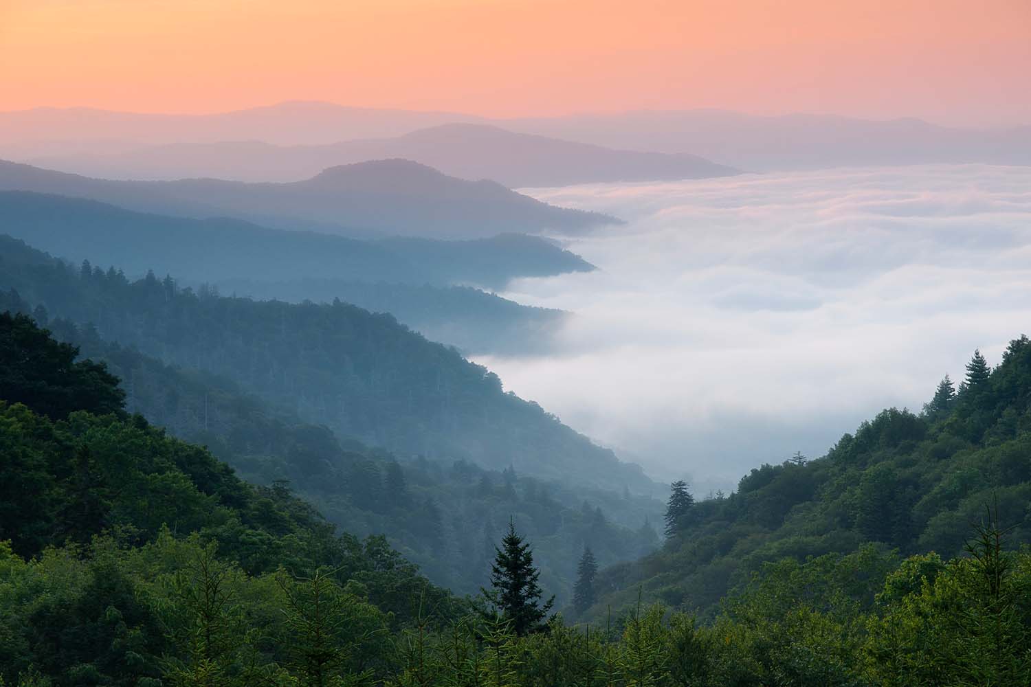 Great Smoky Mountain National Park