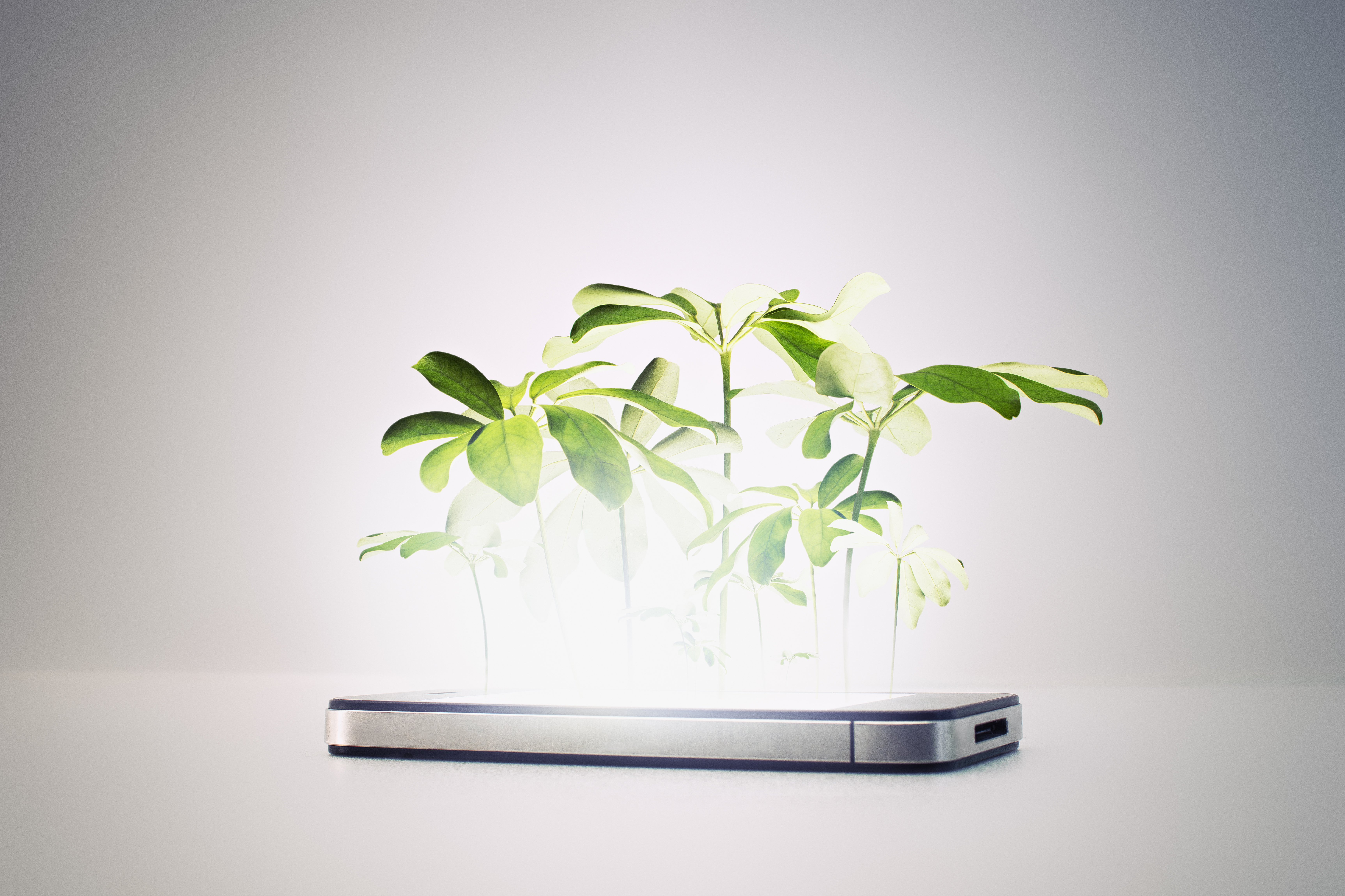 A smartphone with greens sprouting from its screen.