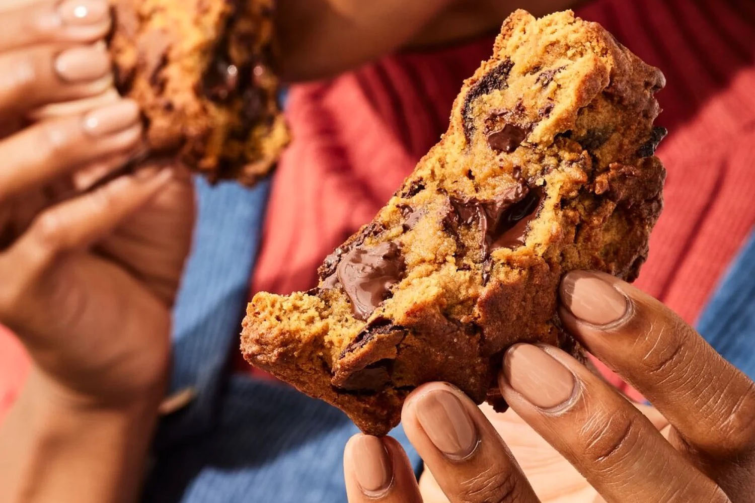 a model holding Levian Bakery Chocolate Chunk Fall Cookies