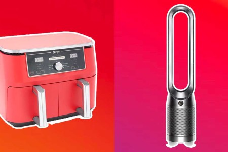 The Ninja Foodi XL 10-qt 6-in-1 DualZone Air Fryer with Rack and Dyson Pure Cool TP04 Tower Fan and Purifier with 360 HEPA Filter, two of the best items to shop right now on QVC.