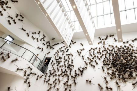 Amsterdam Art Museum Incorporates Real Bugs In a New Exhibition