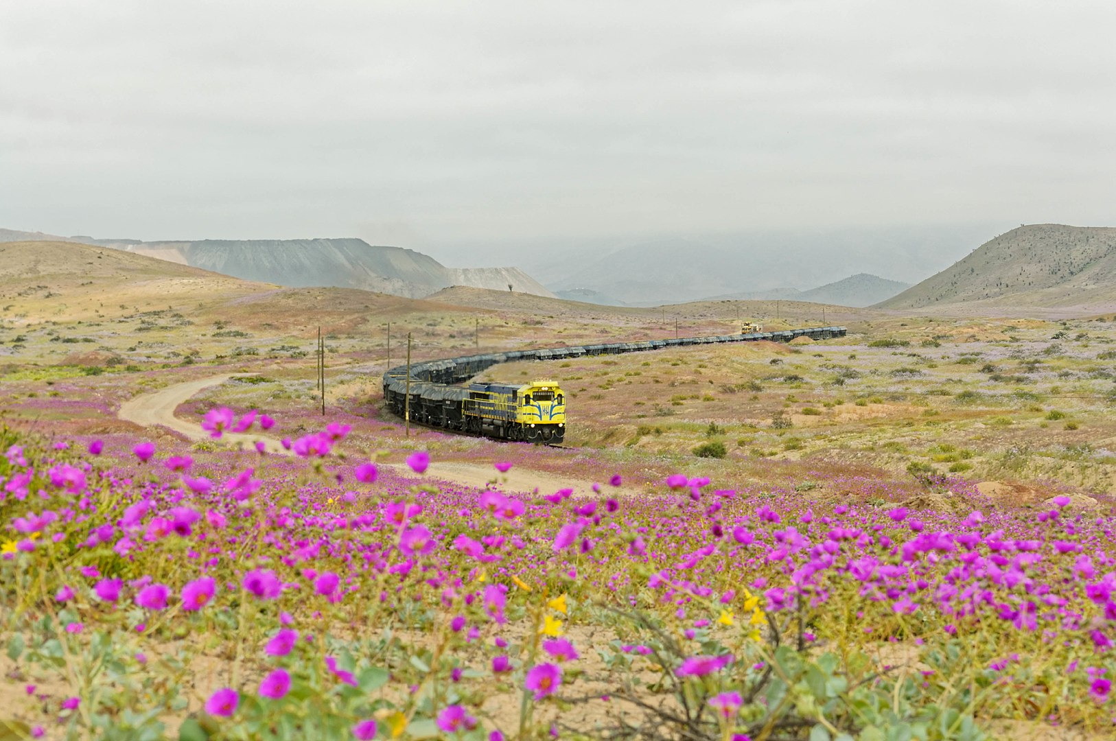 Atacama desert
