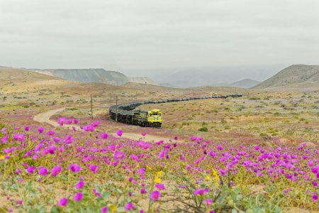 Atacama desert