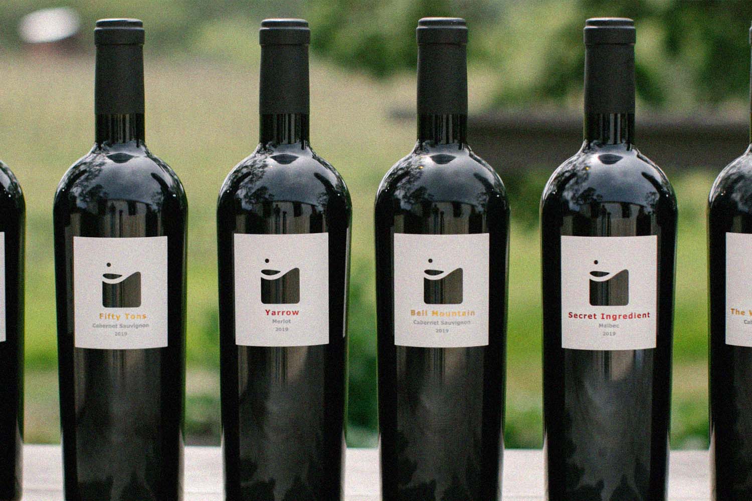 Medlock Ames wines