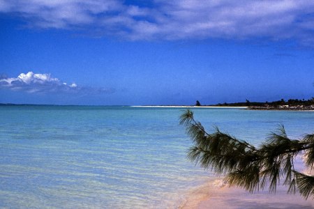 Luxury Crypto Real Estate Is Coming to the Fyre Festival Site