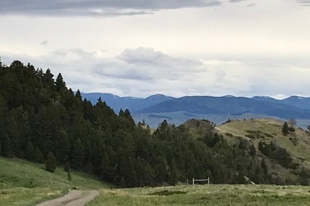 Montana