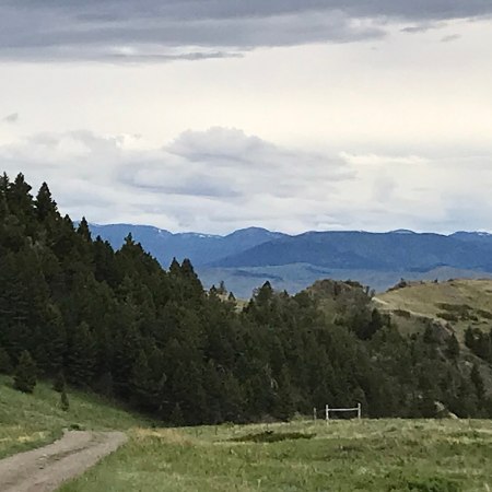 Montana