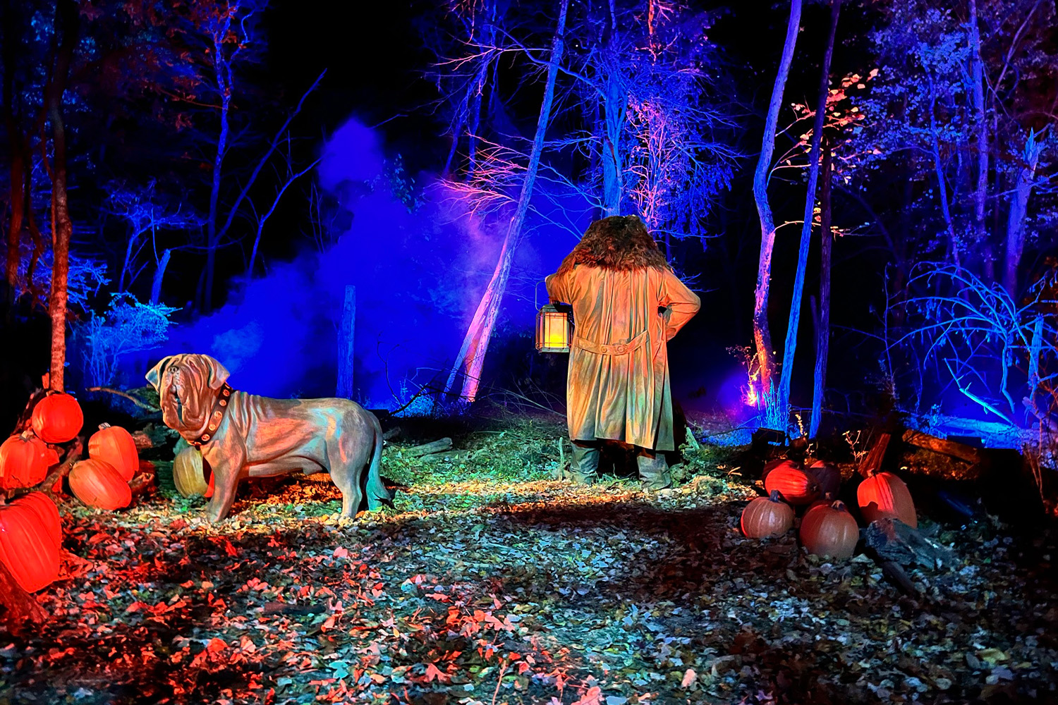 Harry Potter: A Forbidden Forest Experience